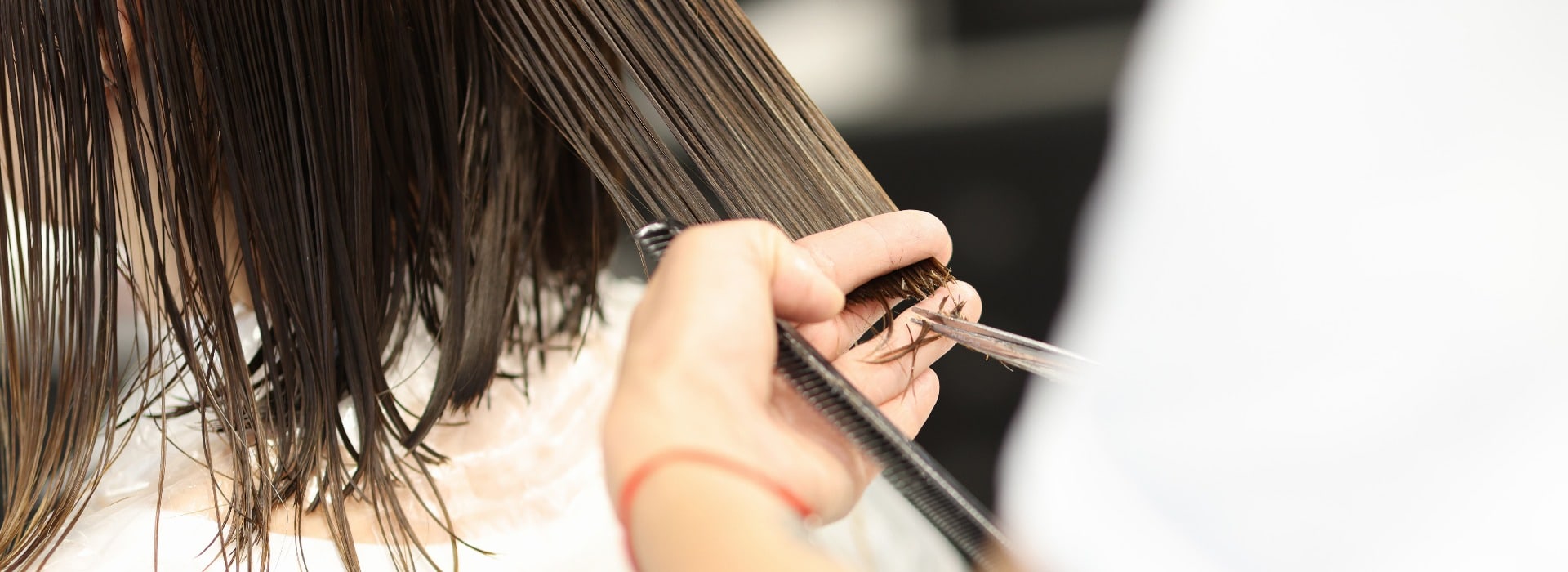 Hairdresser holds client's wet hair and cuts it. Training profession hairdresser concept